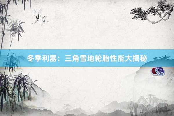 冬季利器：三角雪地轮胎性能大揭秘
