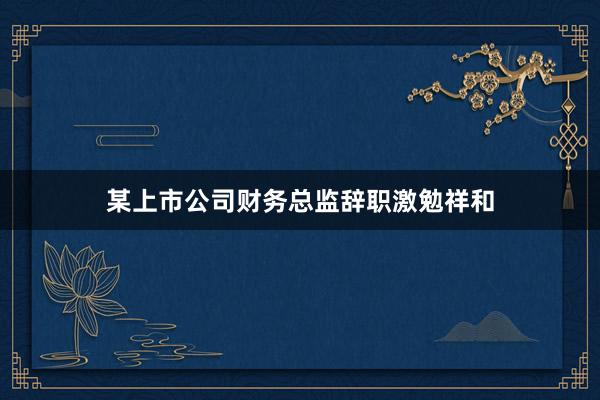 某上市公司财务总监辞职激勉祥和